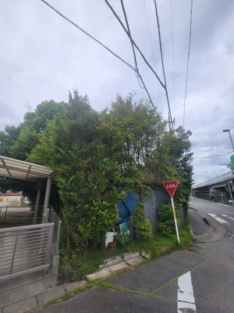 知立市 樹木に覆われた空き家 解体前2
