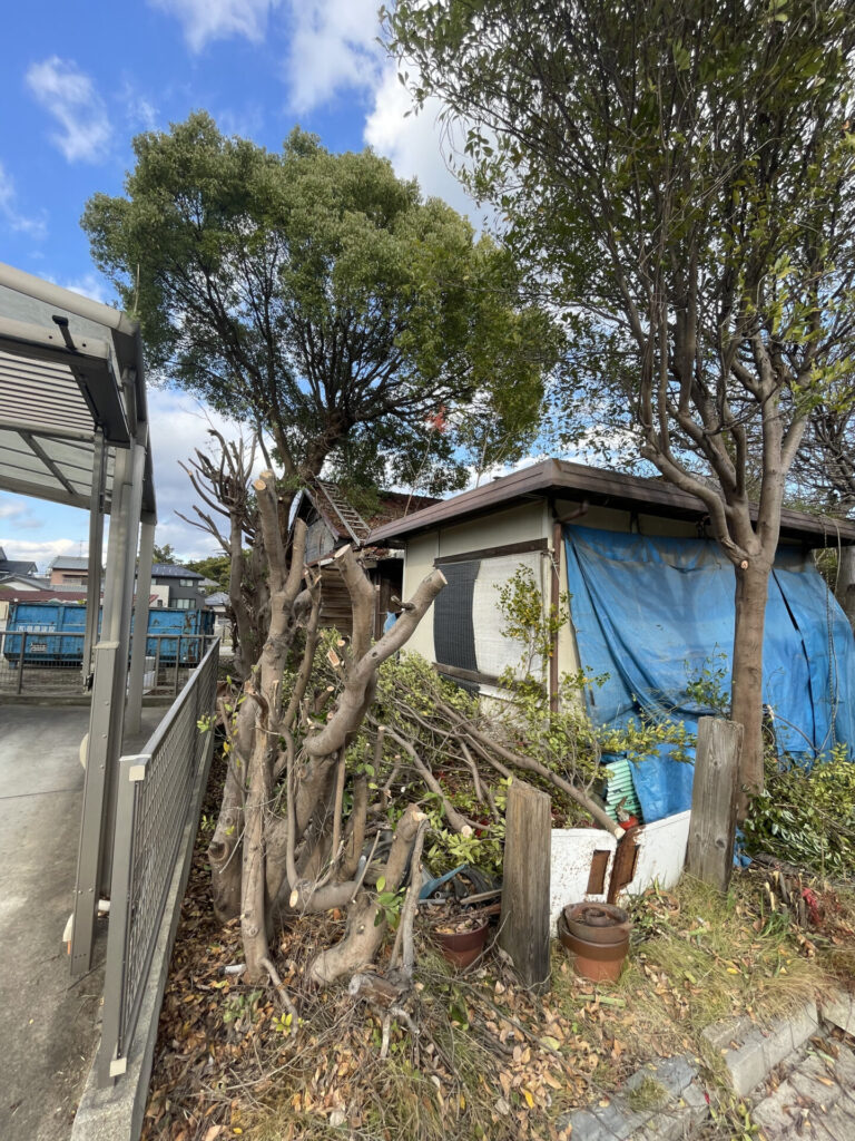 知立市 樹木に覆われた空き家 施工中2