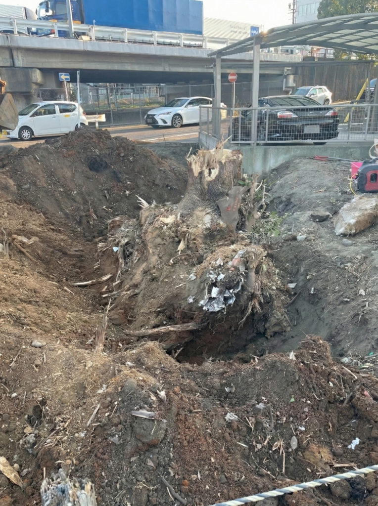 知立市 樹木に覆われた空き家 施工中4